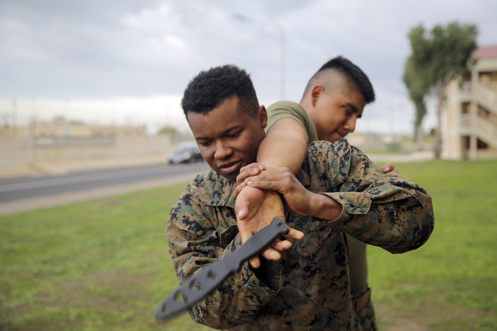 Hooking and jabbing, slashing and stabbing: Marines in Italy earn their brown belt