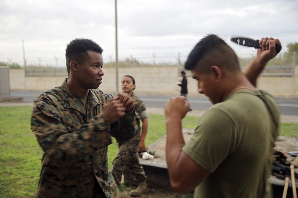 Hooking and jabbing, slashing and stabbing: Marines in Italy earn their brown belt