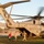 Marines tested in NEO Exercise
