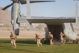 Marines tested in NEO Exercise