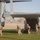 Marines tested in NEO Exercise