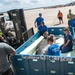 Coast Guard, animal rescue teams transport pregnant manatee to Florida following rescue in Massachusetts