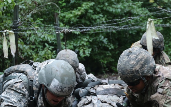 203 Compete For Expert Field Medical Badge, 23 Earn Honor