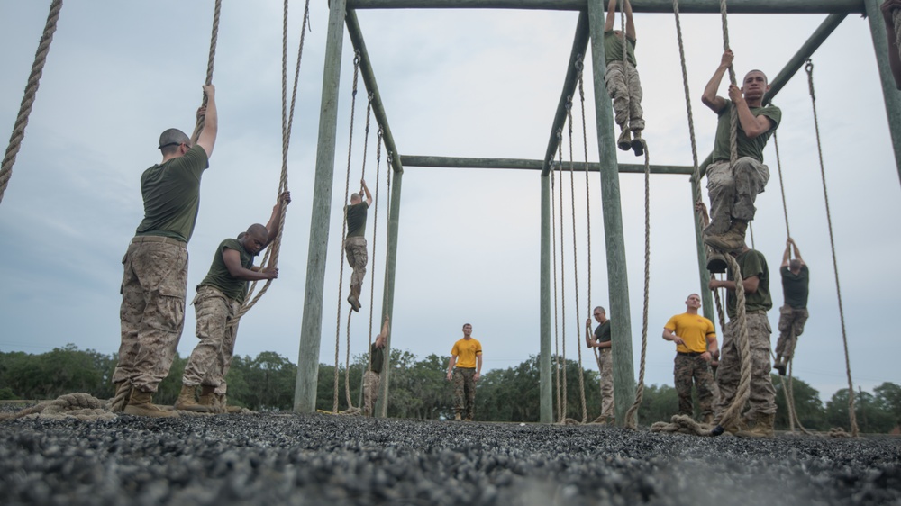 Marine recruits build strength during physical training on Parris Island