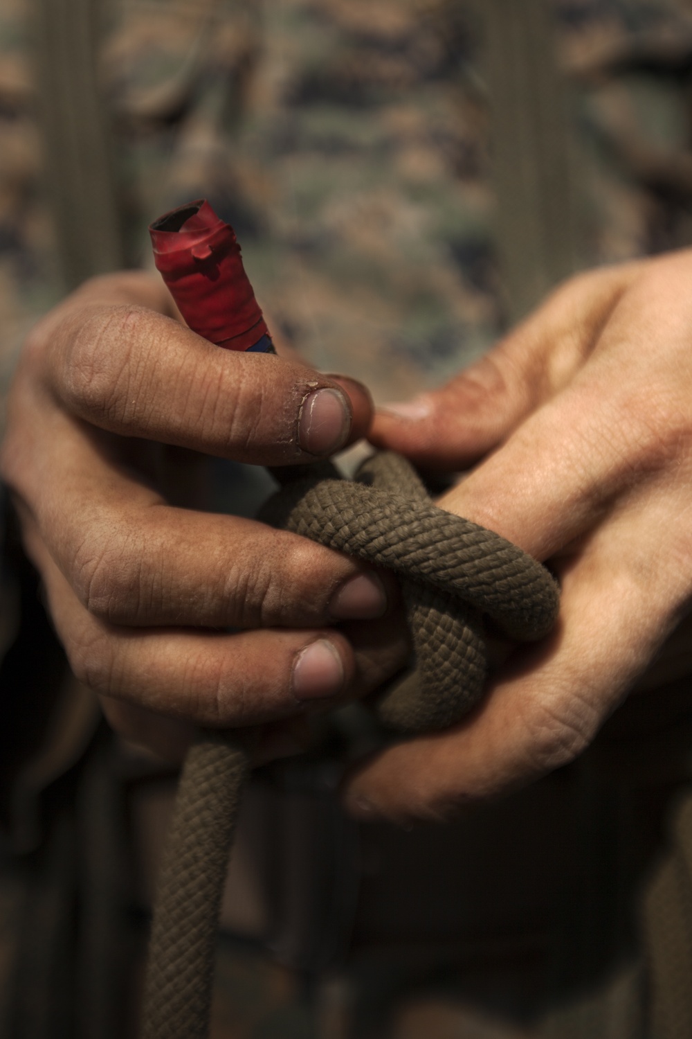 &quot;The Commandant's Battalion&quot; conquers Assault Climbers Course