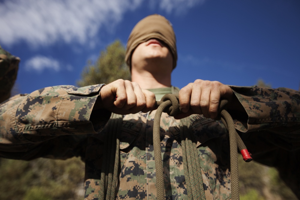 &quot;The Commandant's Battalion&quot; conquers Assault Climbers Course