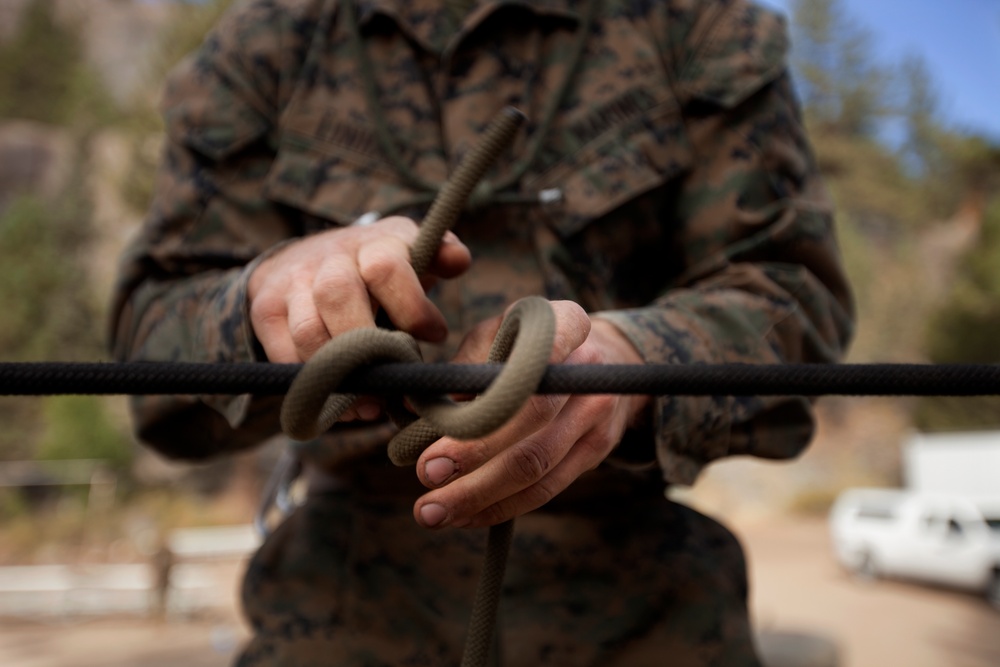 &quot;The Commandant's Battalion&quot; conquers Assault Climbers Course