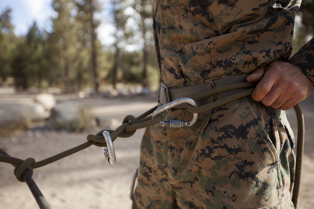 &quot;The Commandant's Battalion&quot; conquers Assault Climbers Course