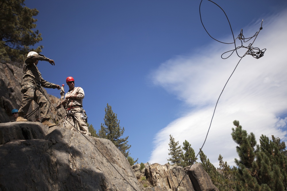 &quot;The Commandant's Battalion&quot; conquers Assault Climbers Course