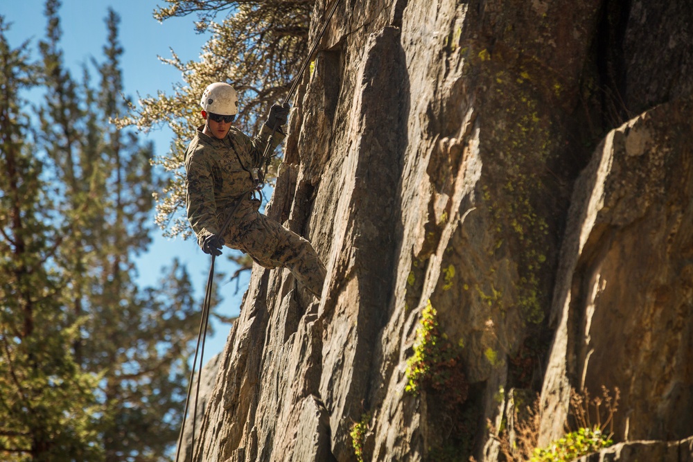 &quot;The Commandant's Battalion&quot; conquers Assault Climbers Course