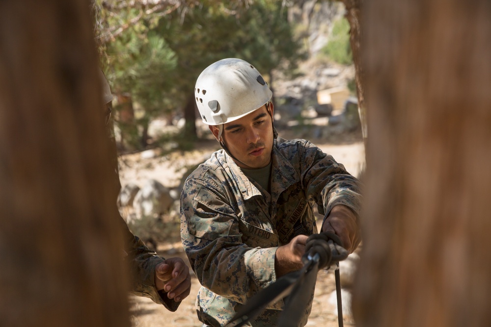 &quot;The Commandant's Battalion&quot; conquers Assault Climbers Course