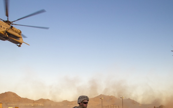 Marines tested in NEO Exercise