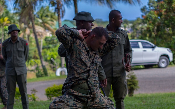 CIED and VCP in Fiji