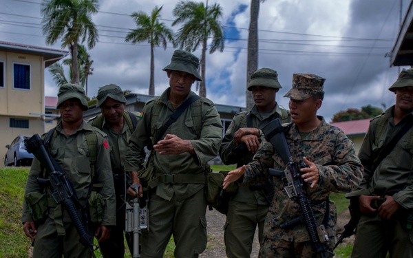 CIED and VCP in Fiji