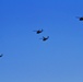 UH-60 Black Hawks fly in formation