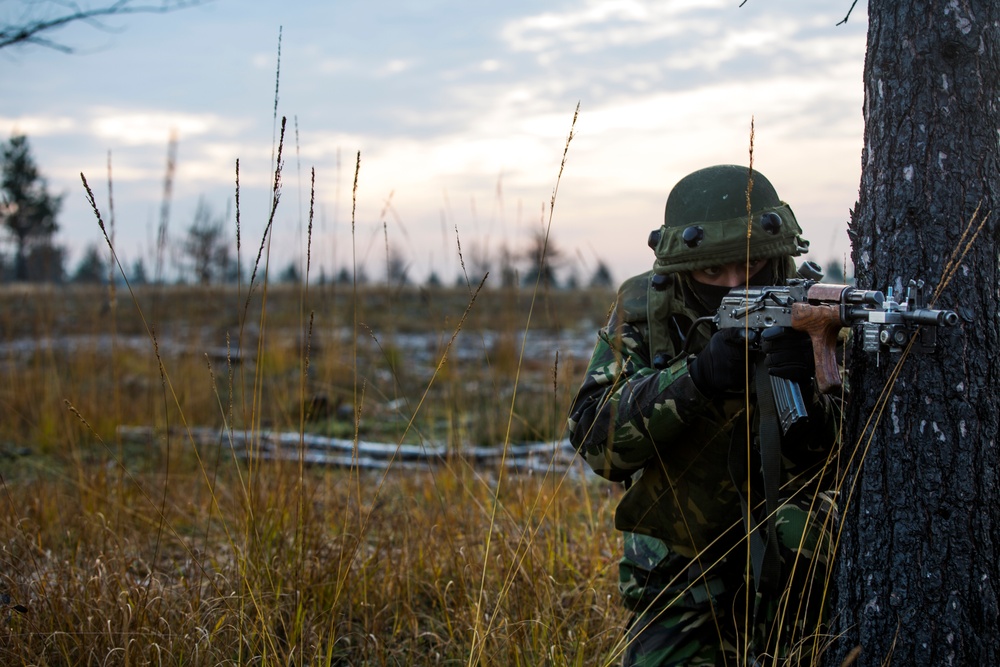 Romanians train in Baltics alongside NATO allies
