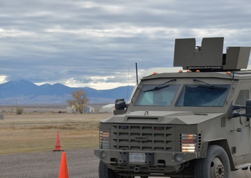 CRF enhances driving capabilities