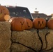 Spooky Sweets and Halloween Treats were Offered at MCAS Yuma Annual “Trunk or Treat” Event