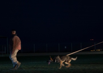 MCAS Yuma hosts “Purple Paws for a Cause” in support of Domestic Violence Awareness and Prevention Month