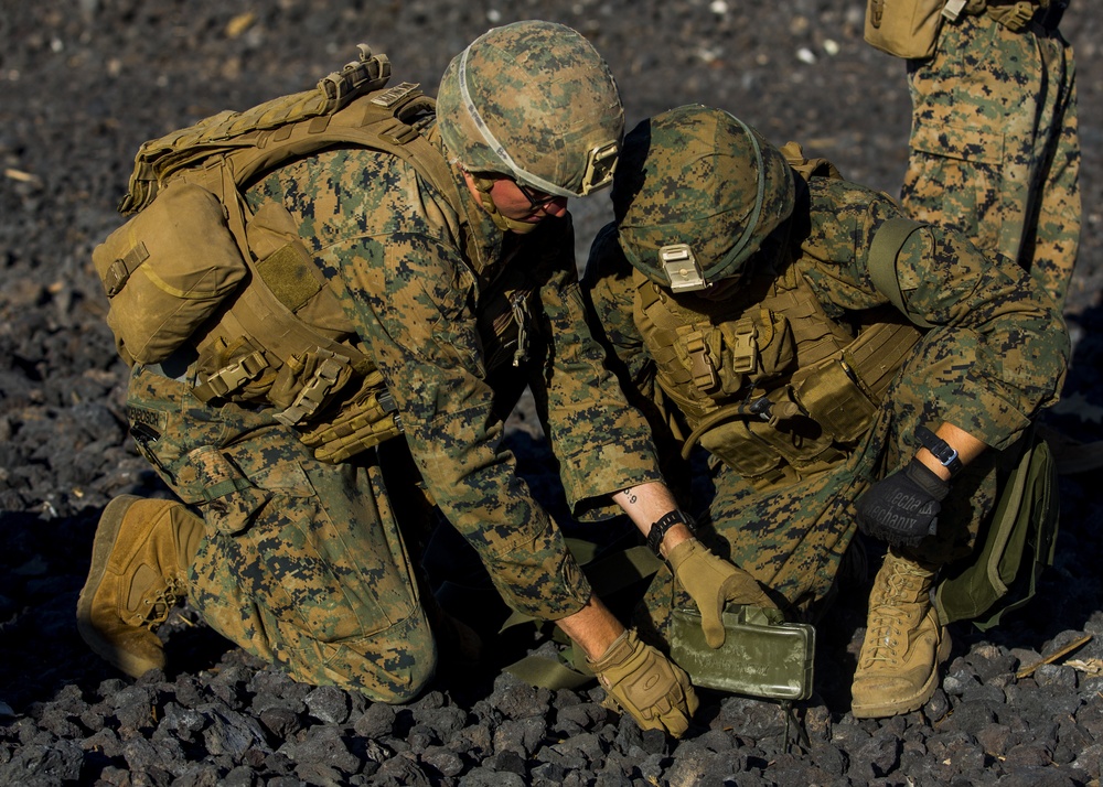 Assault Marines Enhance their demolition skills