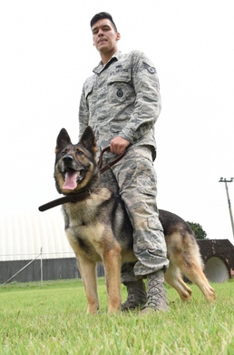 When the bark is as scary as the bite