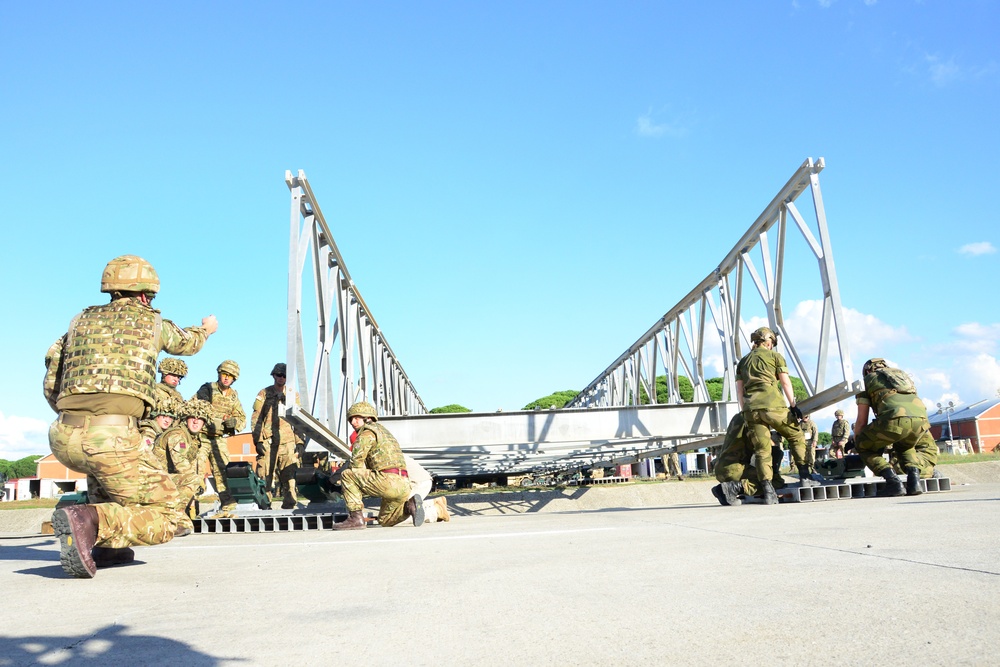 Livorno Shock Exercise