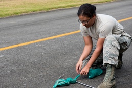 Kadena pest management shop hunts local predators