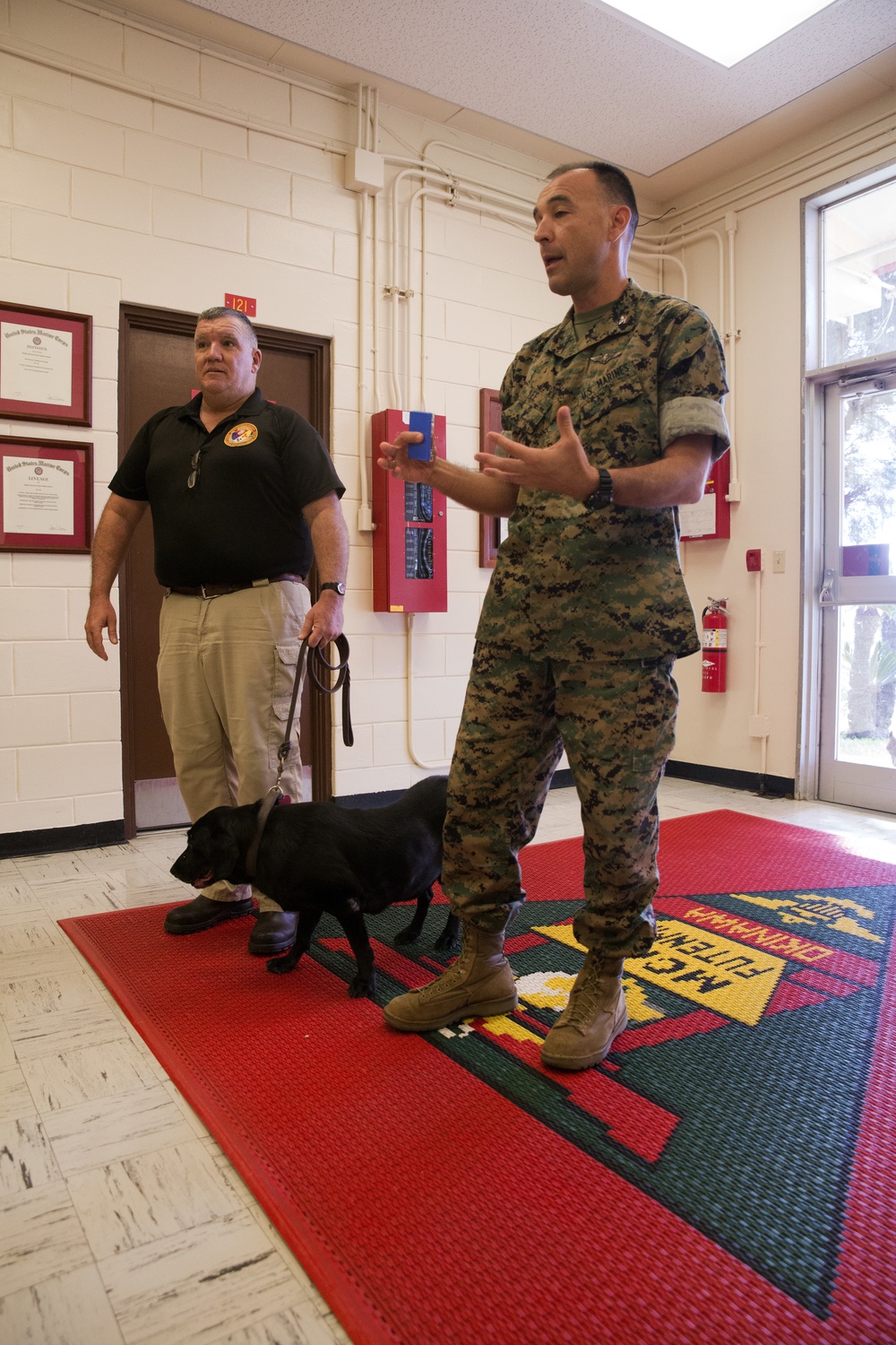 Marine’s four-legged friend receives award for actions in Operation Iraqi Freedom