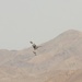 FAC/JTAC Bilateral Close Air Support Training