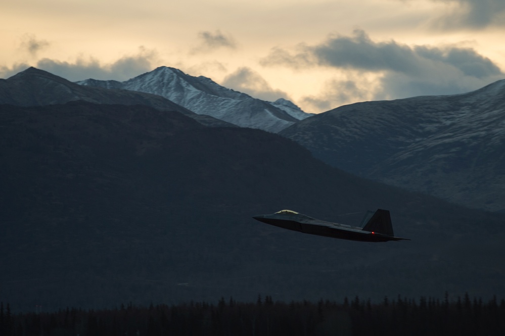 Raptors Take Off