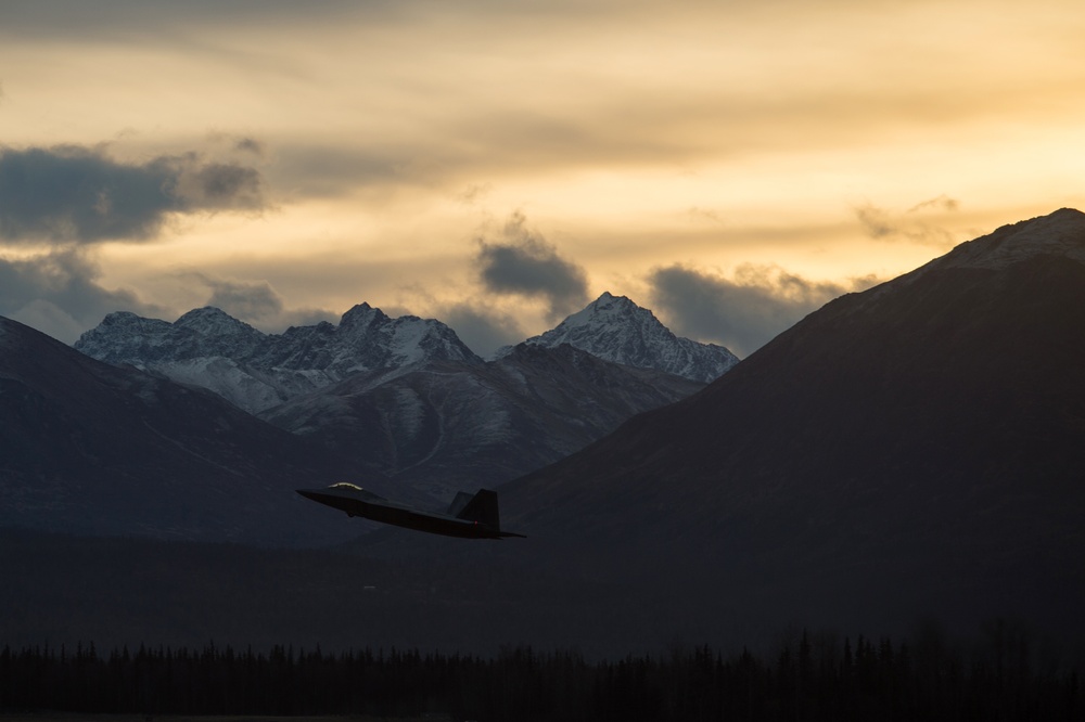 Raptors Take Off