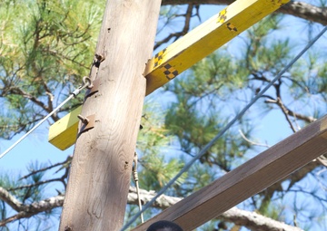 BCT overcomes fears and builds confidence