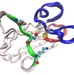 Ribbon structure of a Shark-Derived Single-Domain Antibody