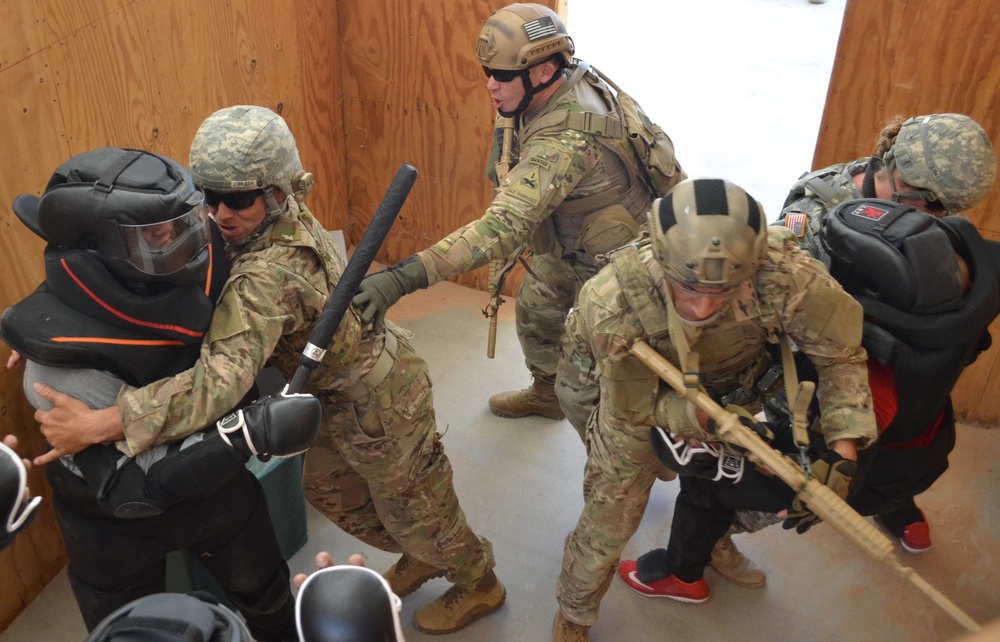 Iron Training Detachment conducts Level II combatives training