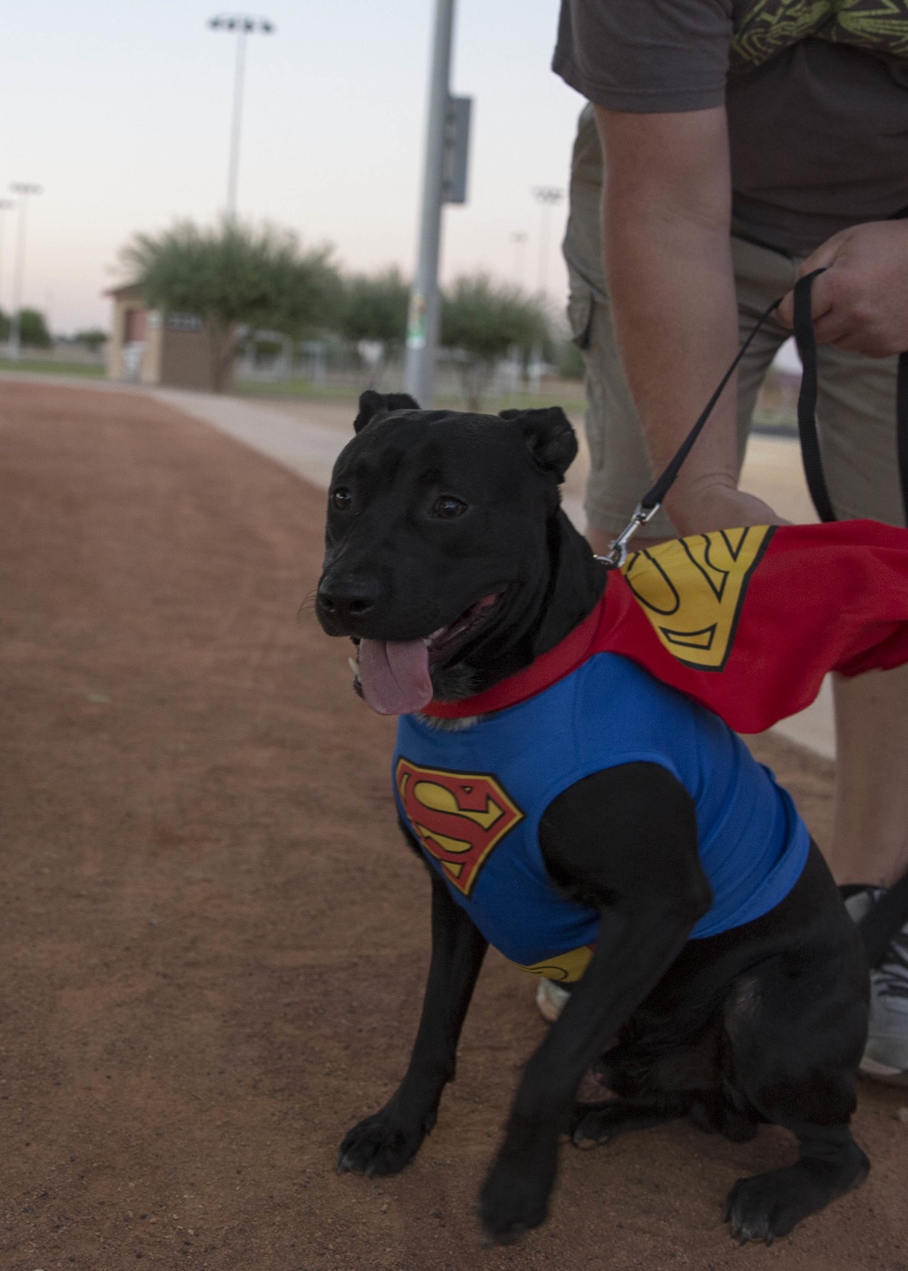 MCAS Yuma hosts “Purple Paws for a Cause” in support of Domestic Violence Awareness and Prevention Month