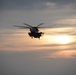CH-53E Super Stallion lands during sunset