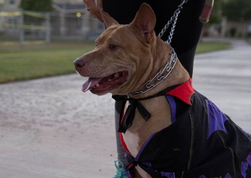MCAS Yuma hosts “Purple Paws for a Cause” in support of Domestic Violence Awareness and Prevention Month