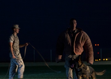 MCAS Yuma hosts “Purple Paws for a Cause” in support of Domestic Violence Awareness and Prevention Month