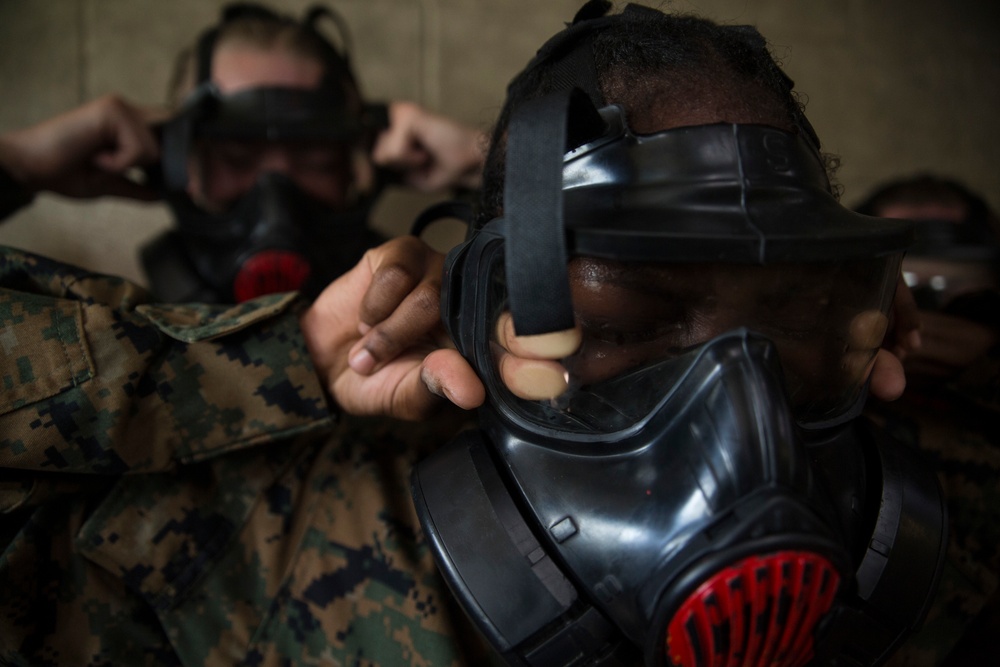 Marine recruits brave gas chamber on Parris Island