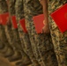 Marines Reenlist on the Spot in Okinawa