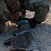 Southern Strike 17