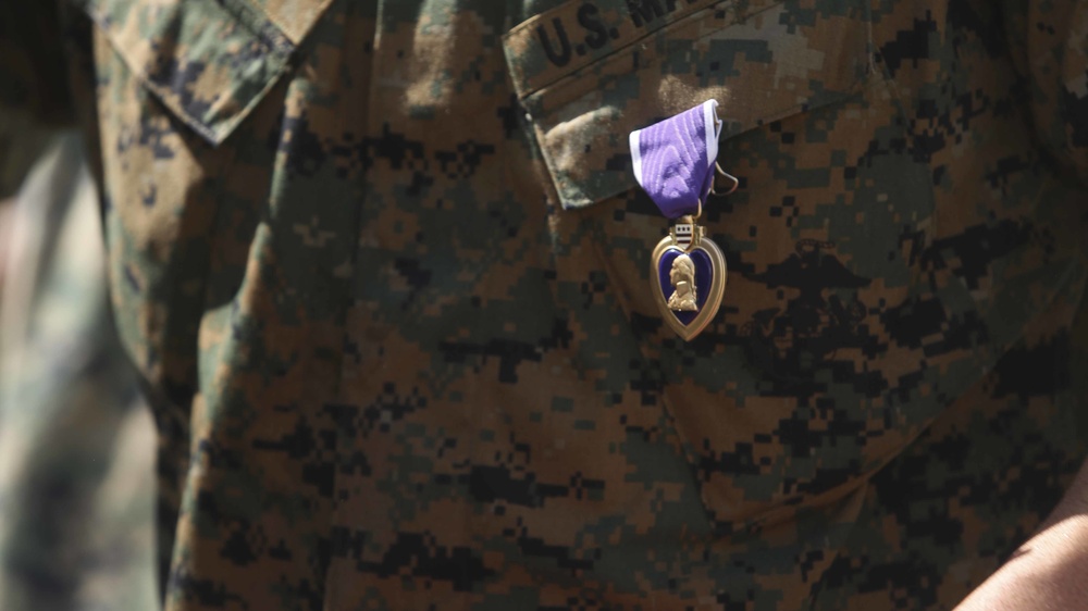 Marine Recieves Purple Heart in Front of Building Dedicated to Marine He Served With