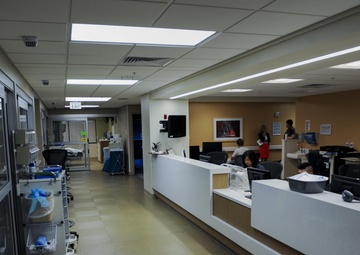 Tele-ICU: future of intensive care