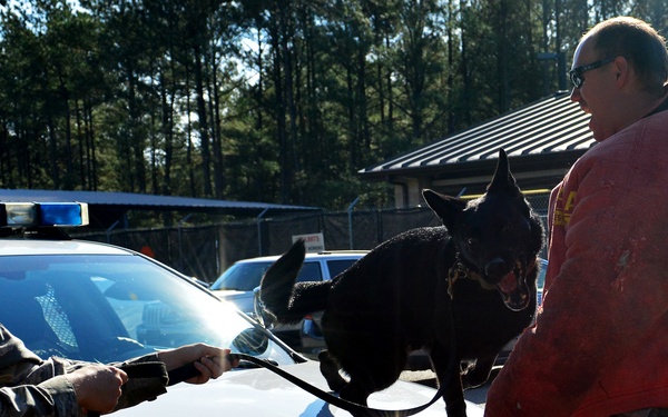 Canines fighting crime