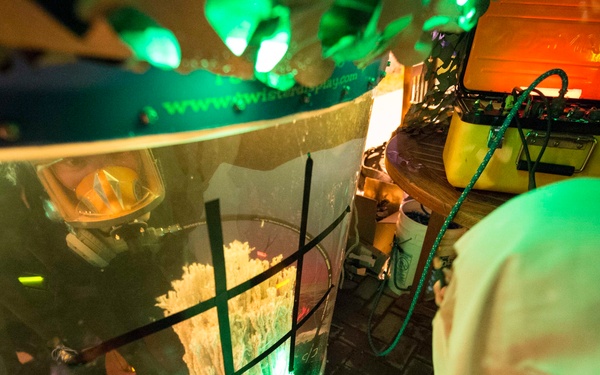 MDSU-2 Kids Halloween Booth