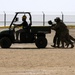 NCO Week celebrates US Army Central enlisted