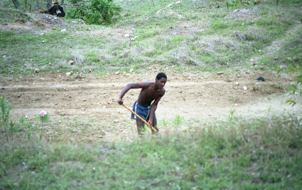 Haiti - Rural Development &amp; Agriculture