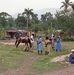 Haiti - Rural Development &amp; Agriculture