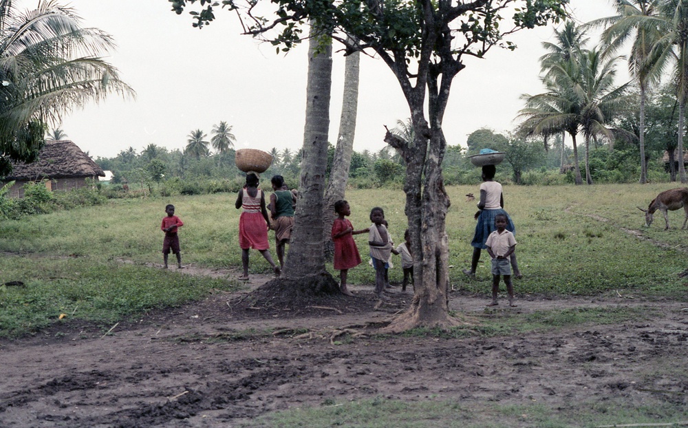 Haiti - Rural Development &amp; Agriculture