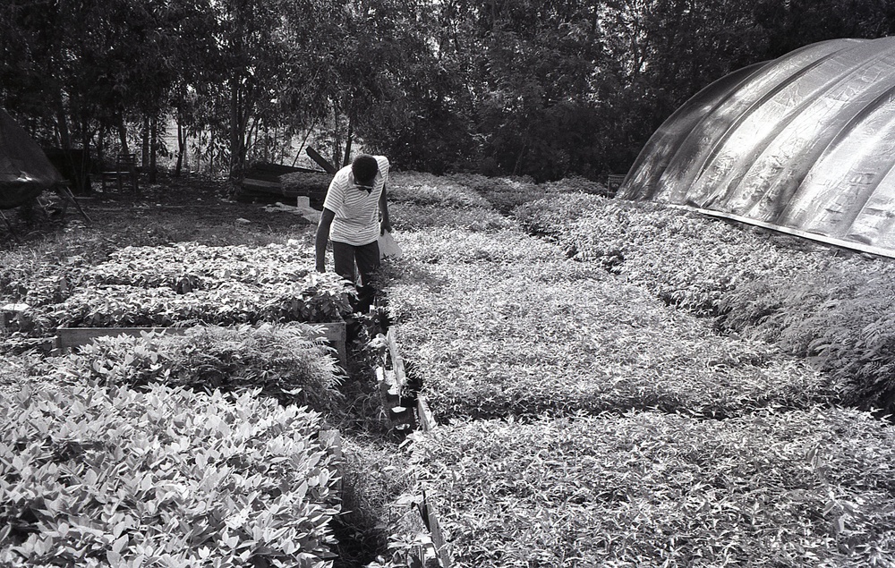 Haiti - Rural Development &amp; Agriculture